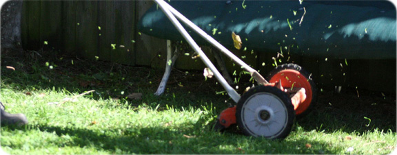 org:/gardening tips/Pruning, planting, maintenance/Maintenance/Banners 576px/Maintenance home.jpg